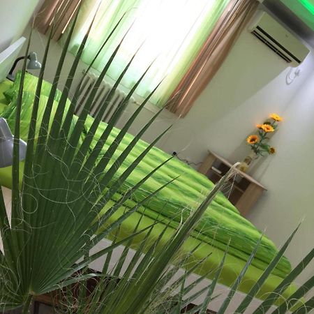 Green Dreams Novi Sad Exterior foto