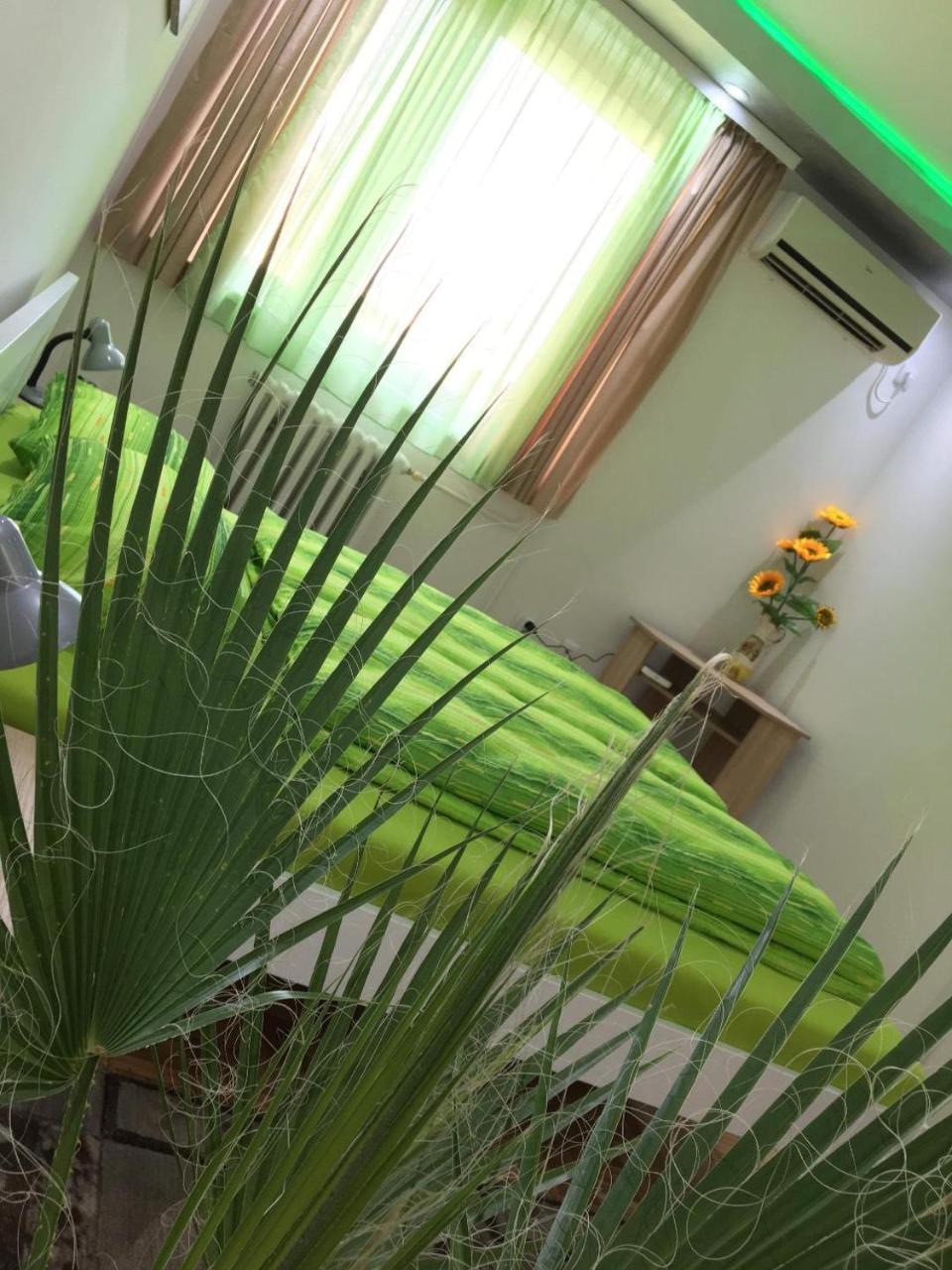 Green Dreams Novi Sad Exterior foto